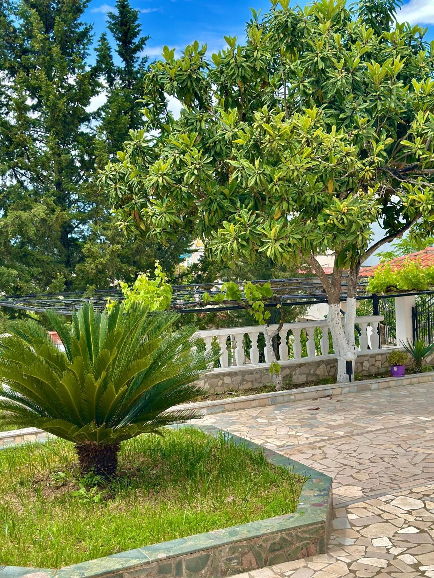 Villa Braho Гирокастра Экстерьер фото